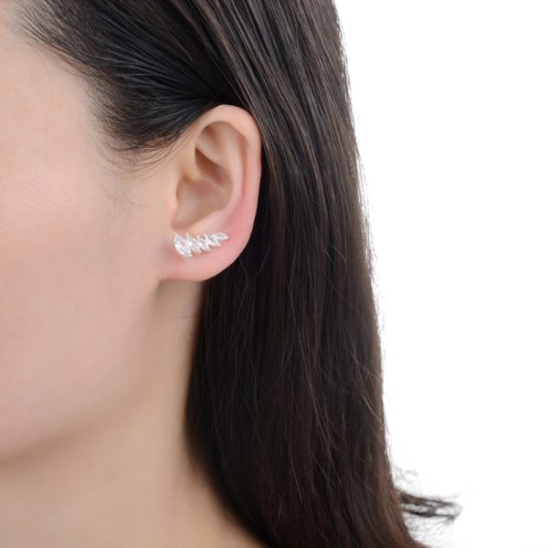 Aros trepadores circones - Imagen 2