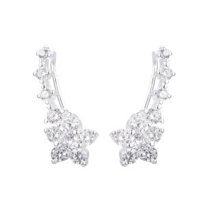 Aros trepadores flor